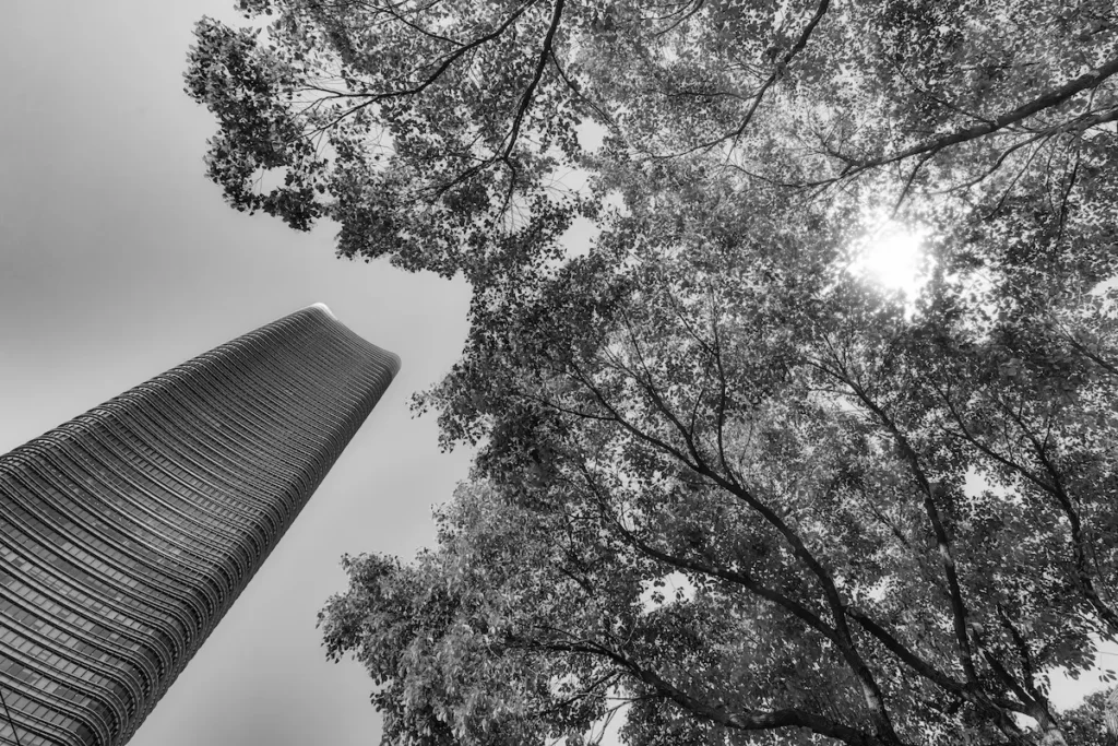 direito ambiental lacerda fernandes